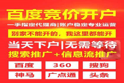 百度竞价排名策略解析：一家公司的广告投放策略全揭秘